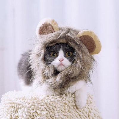Bonnet pour Chat Cosplay Lion
