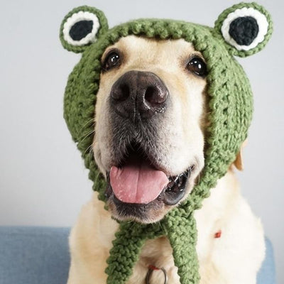 Bonnet pour Chien au Tricot XL