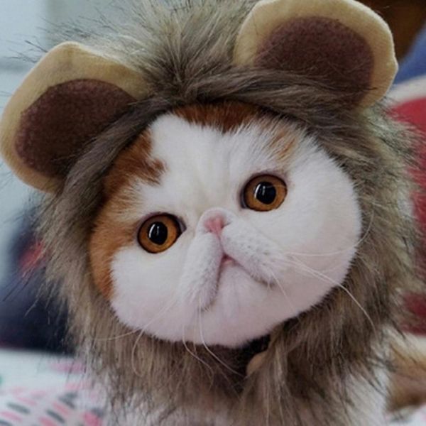 Bonnet pour Chat Cosplay Lion