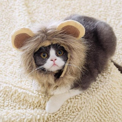 Bonnet pour Chat Cosplay Lion