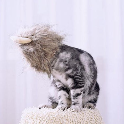 Bonnet pour Chat Cosplay Lion