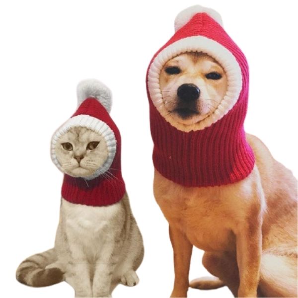Chapeau de Noël pour Chat | Bob Nation