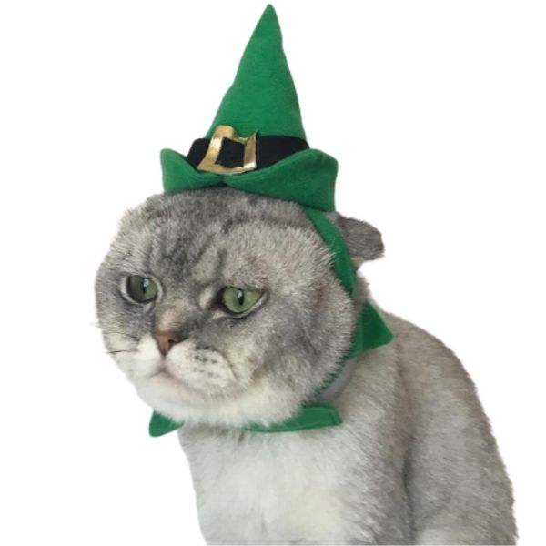 Chapeau Sorcière pour Chat | Bob Nation
