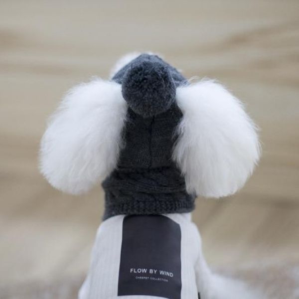 Bonnet pour Chien en Laine d'Hiver (avec écharpe)