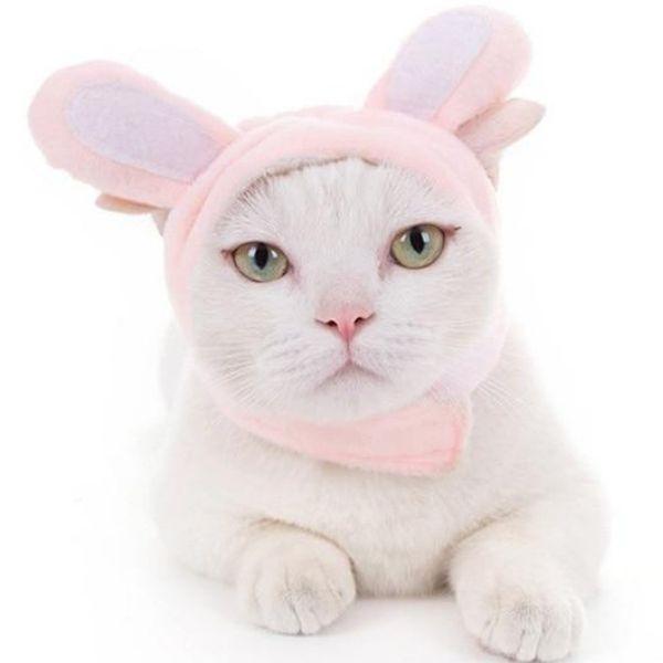 Bonnet Chat Oreille | Bob Nation