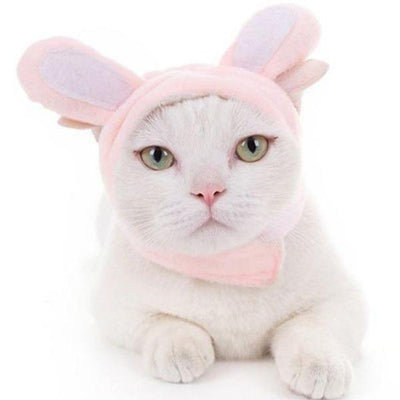Bonnet Chat Oreille | Bob Nation