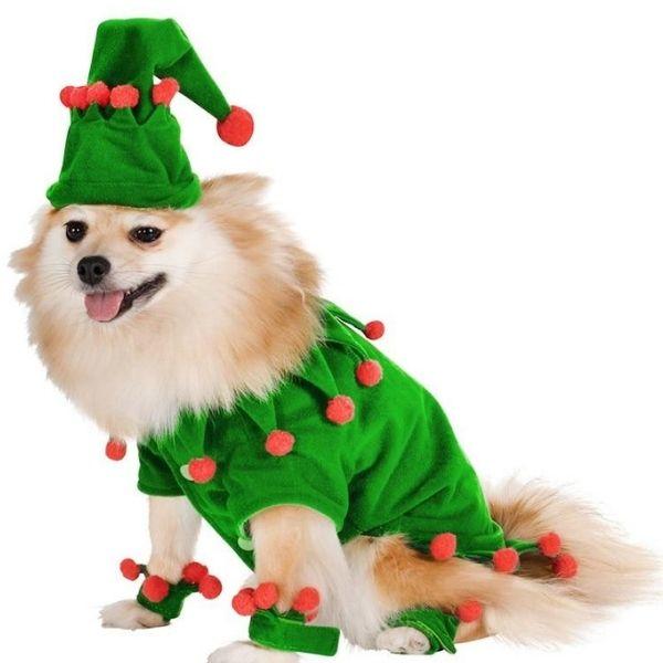 Bonnet Chien Noël | Bob Nation