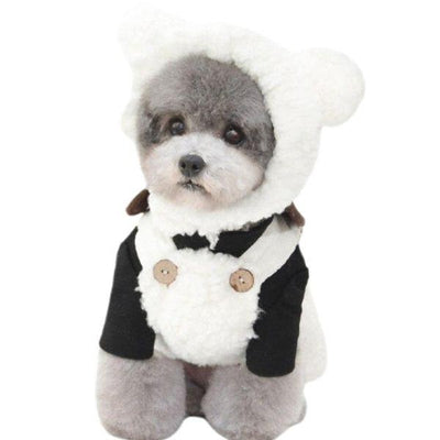 Bonnet Chien Oreille | Bob Nation