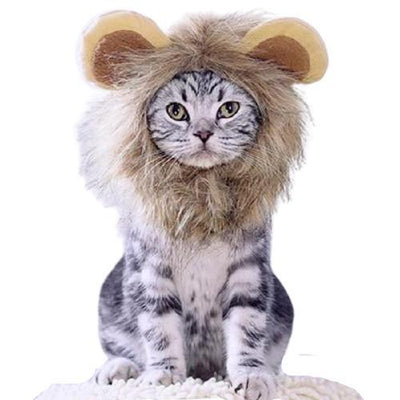 Bonnet Lion pour Chat | Bob Nation