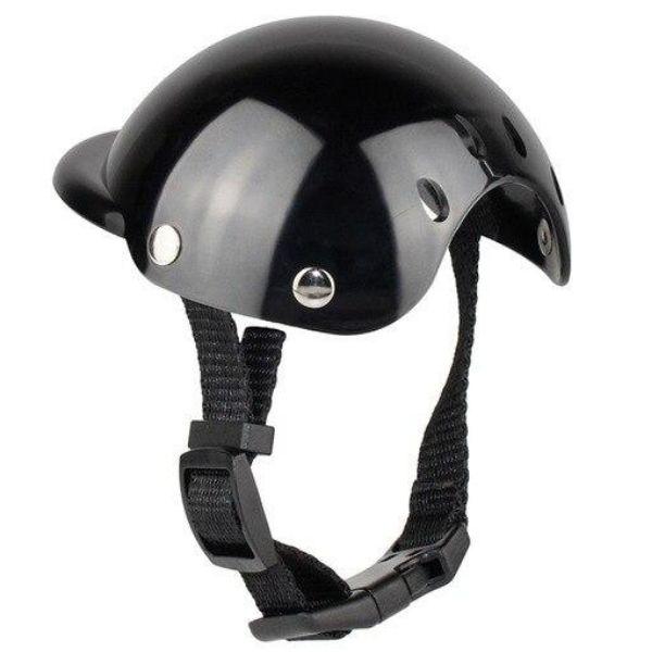Bonnet Moto pour Chien | Bob Nation