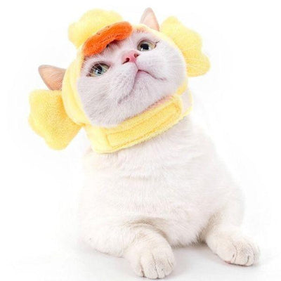 Bonnet pour Chat Bébé | Bob Nation
