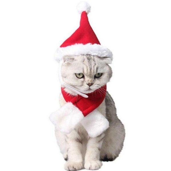 Bonnet pour Chat Femme | Bob Nation