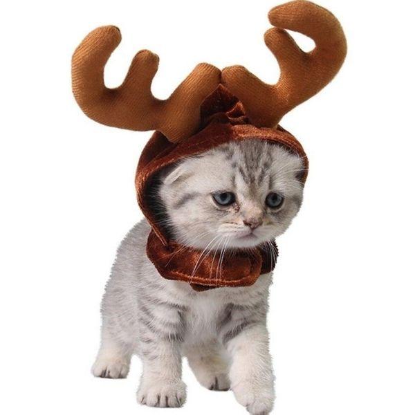 Bonnet pour Chat Noël | Bob Nation