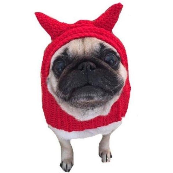 Bonnet pour Chien au Crochet | Bob Nation