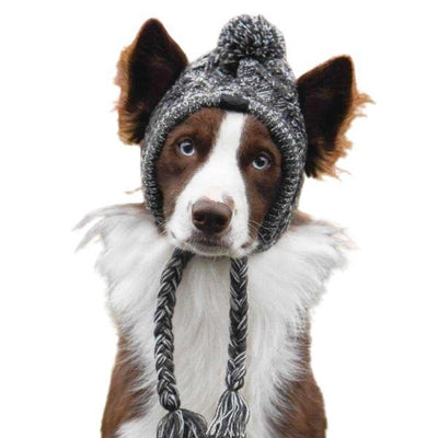 Bonnet pour Chien au Tricot | Bob Nation