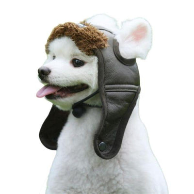 Bonnet pour Chien Aviateur | Bob Nation