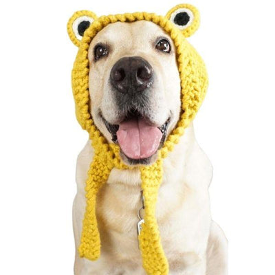 Bonnet pour Grand Chien | Bob Nation