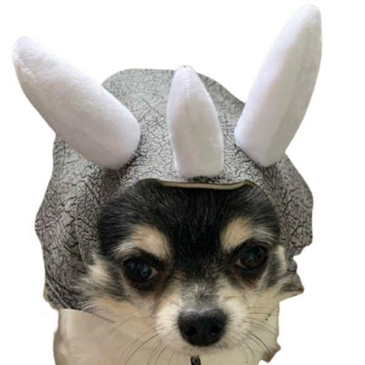 Bonnet pour Petit Chien | Bob Nation
