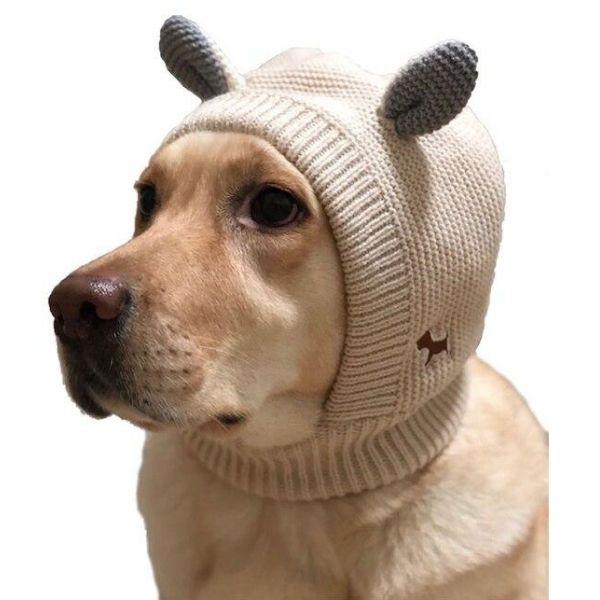 Bonnet Protection Oreilles Chien | Bob Nation