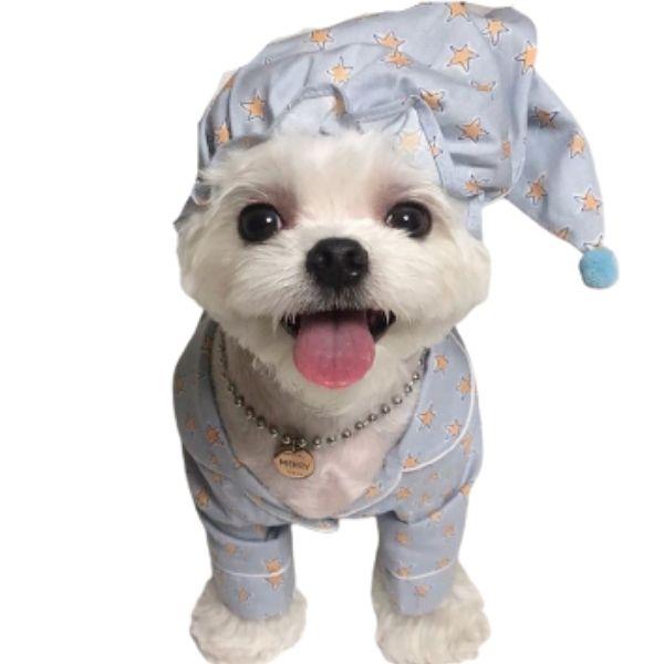 Chapeau Bébé Chien | Bob Nation