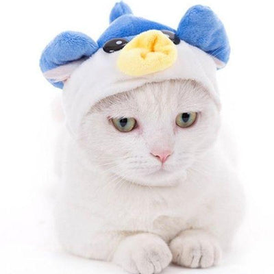 Chapeau Chat Sauvage | Bob Nation