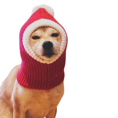 Chapeau de Noël Chien | Bob Nation