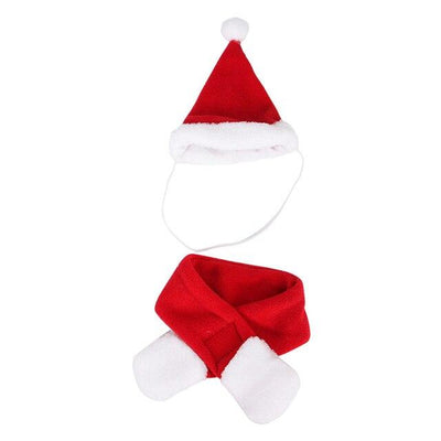 Chapeau Père Noël Chien | Bob Nation