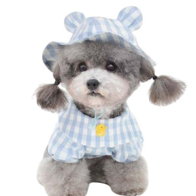 Chapeau pour Chien Pas Cher | Bob Nation
