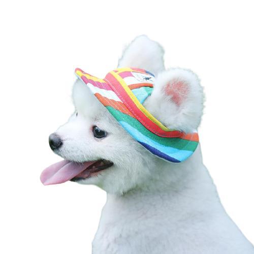 Chapeau pour Petit Chien | Bob Nation