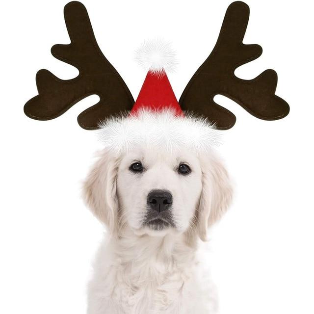 Chapeau Renne pour Chien | Bob Nation