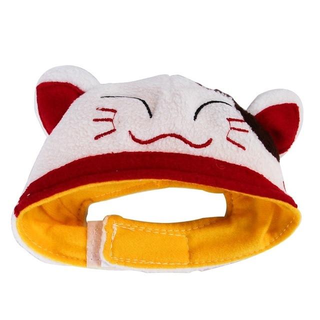 Chat Chapeau Rouge et Blanc | Bob Nation