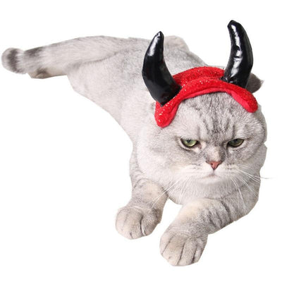 Chat Rouge Chapeau | Bob Nation