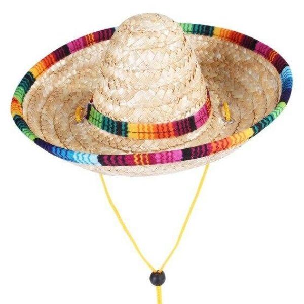 Chien Chapeau de Paille | Bob Nation