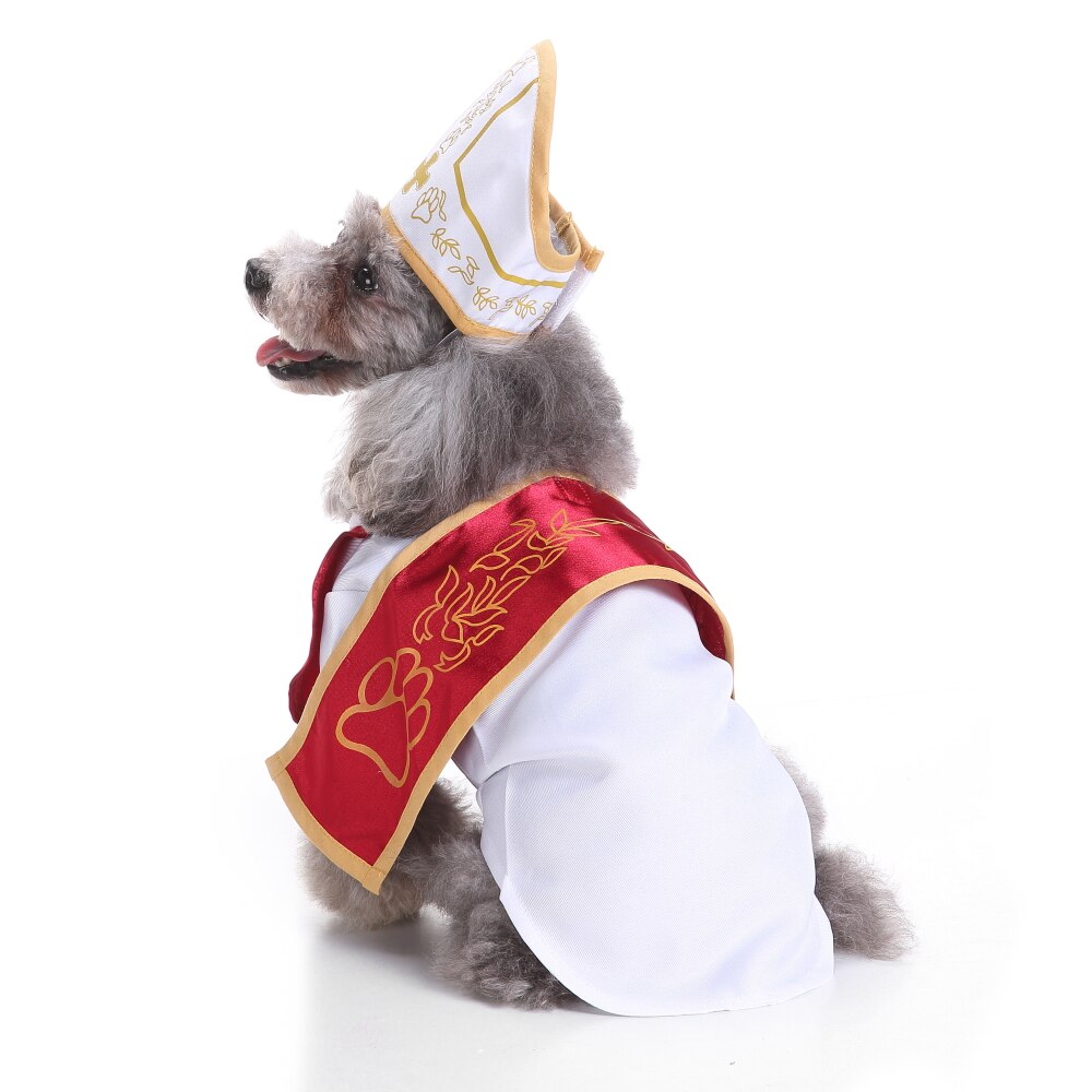 Bob pour Chien Pape