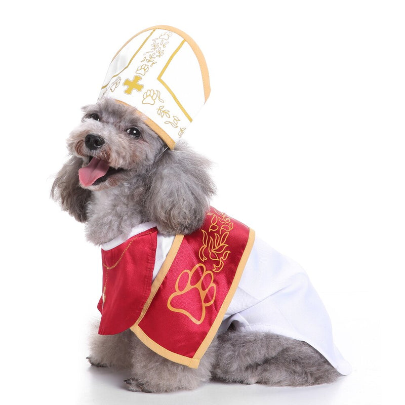 Bob pour Chien | Bob Nation