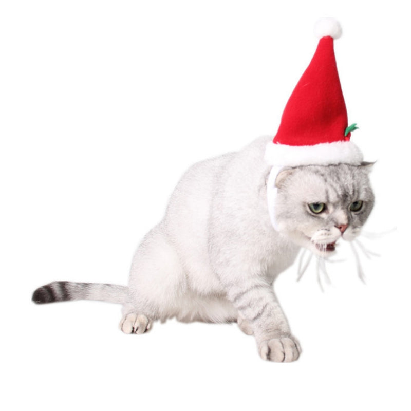 Bonnet pour Chat Femme | Bob Nation