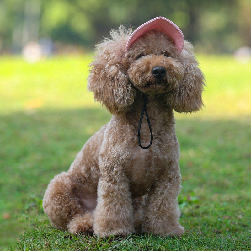 Casquette pour Chien Baseball Player