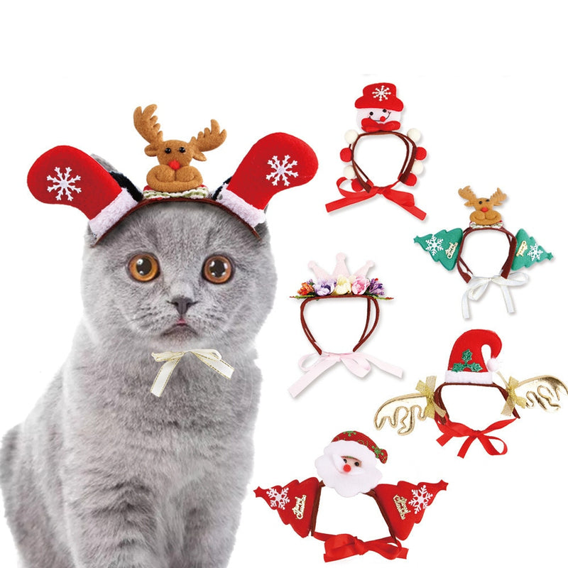 Chapeau Fête pour Chat | Bob Nation