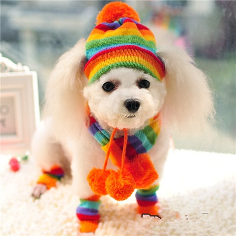 Bob pour Chien d'Hiver (chapeau + écharpe + chaussettes)