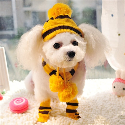 Bob pour Chien d'Hiver (chapeau + écharpe + chaussettes)