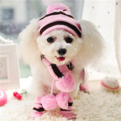 Bob pour Chien d'Hiver (chapeau + écharpe + chaussettes)