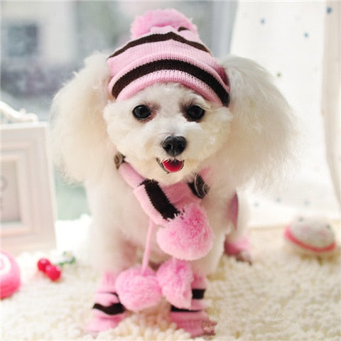 Chapeau pour Chien au Crochet | Bob Nation