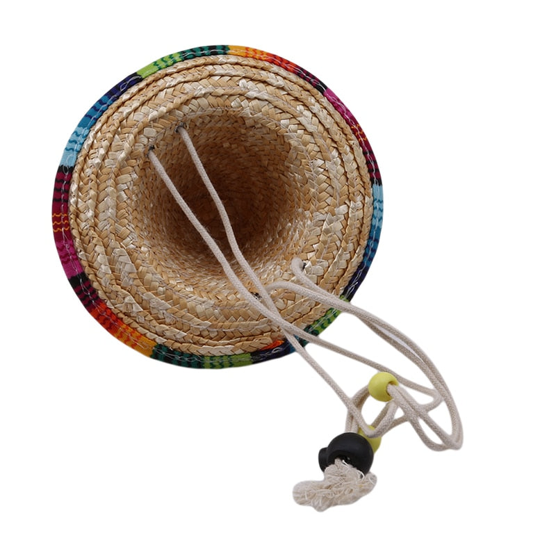 Chapeau Mexicain pour Chat | Bob Nation