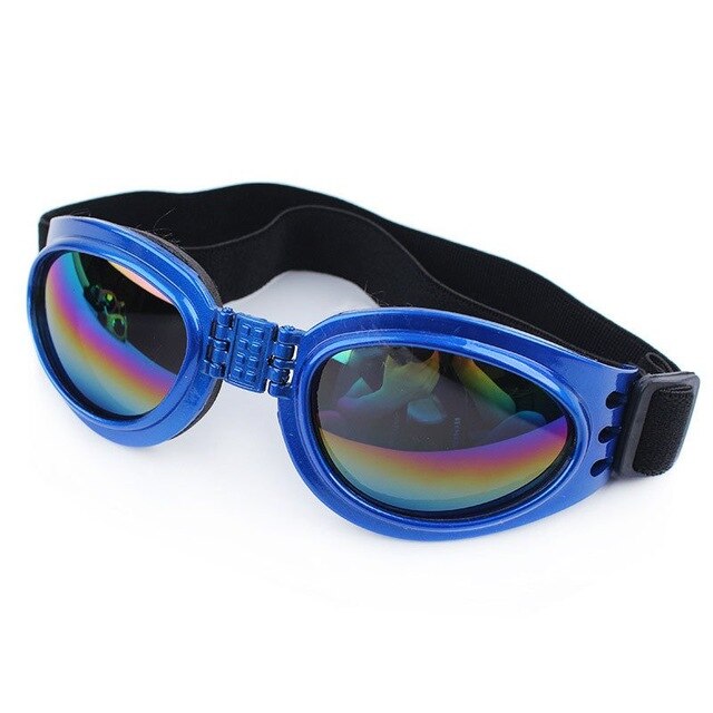 Casquette pour Chien & Lunettes de Motard
