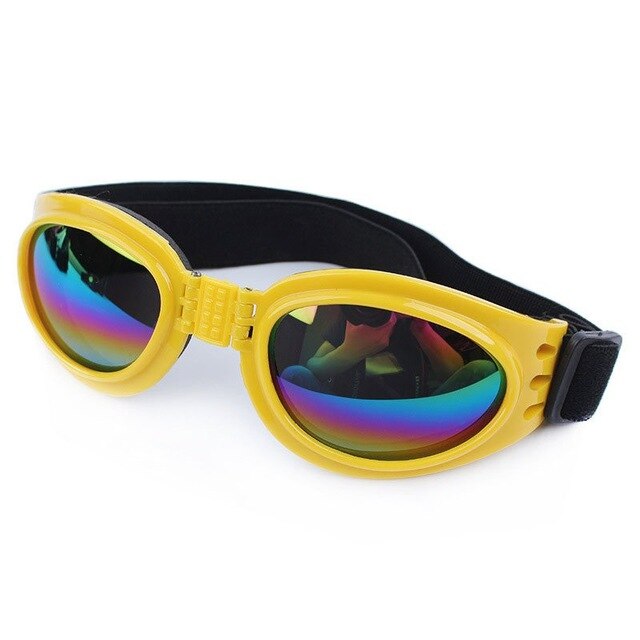 Casquette pour Chien & Lunettes de Motard