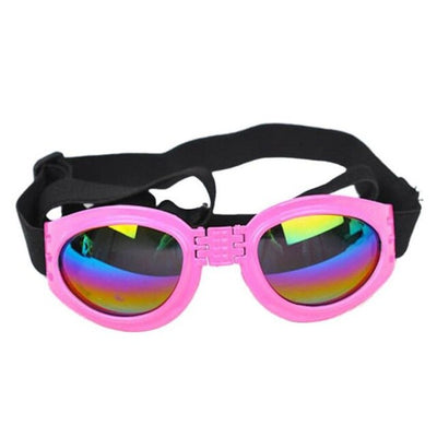 Casquette pour Chien & Lunettes de Motard