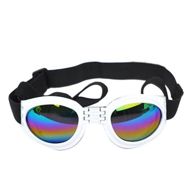 Casquette pour Chien & Lunettes de Motard