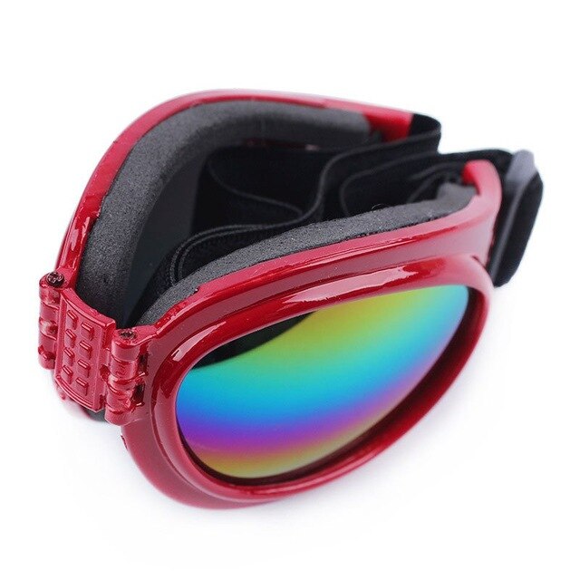 Casquette pour Chien & Lunettes de Motard