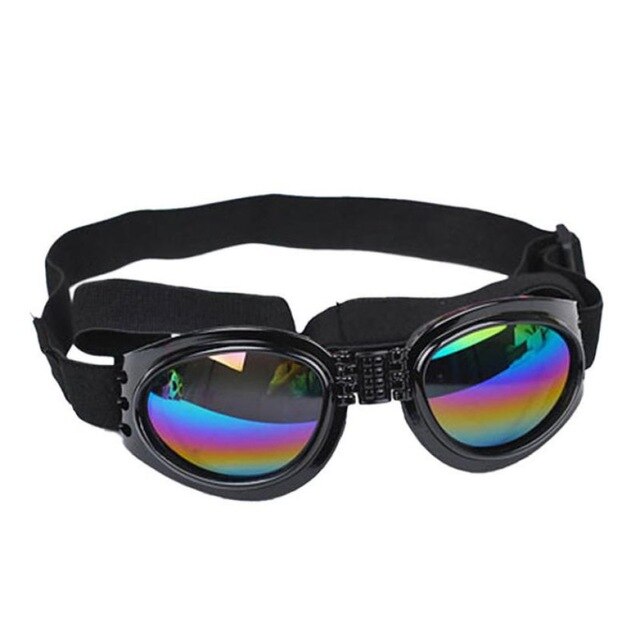 Casquette pour Chien & Lunettes de Motard