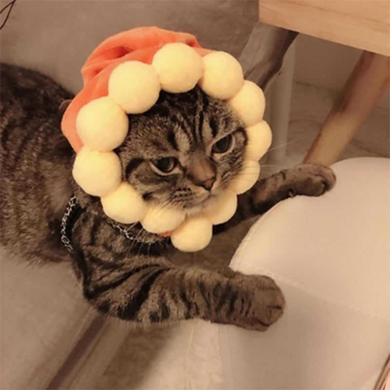 Chapeau Chat Adulte | Bob Nation